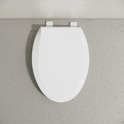 Elongated Toilet Seat with Toddler Seat Built In, Family Toilet Seat in Glossy White