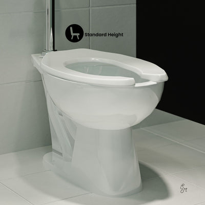 Sirene Floor-Mounted Commercial Elongated Top Flush Spud Flushometer Toilet Bowl