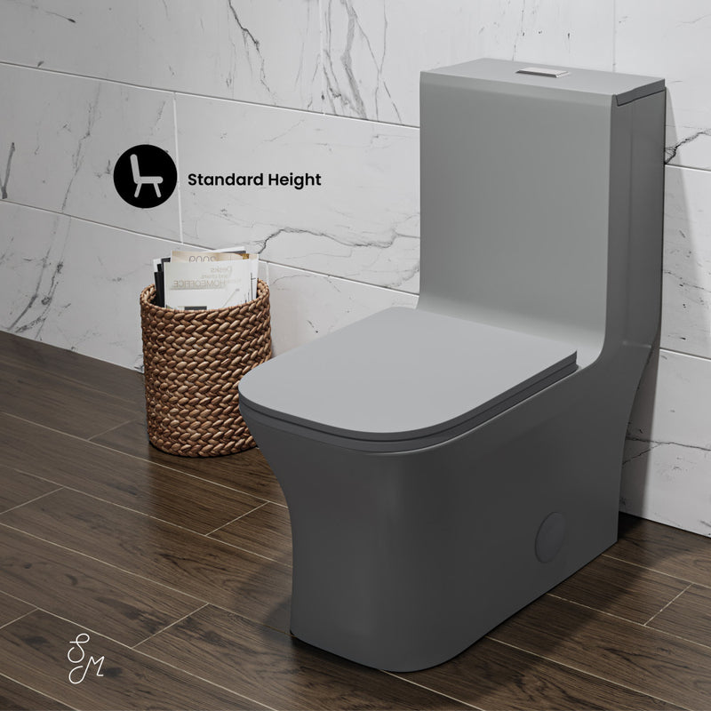 Concorde One Piece Square Toilet Dual Flush in Matte Gray 1.1/1.6 gpf