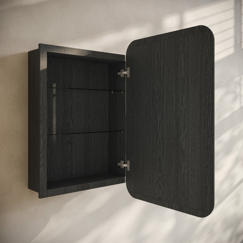 Plaisir 18 x 27 Recessed/Wall Mount Medicine Cabinet with Mirror in Black Oak