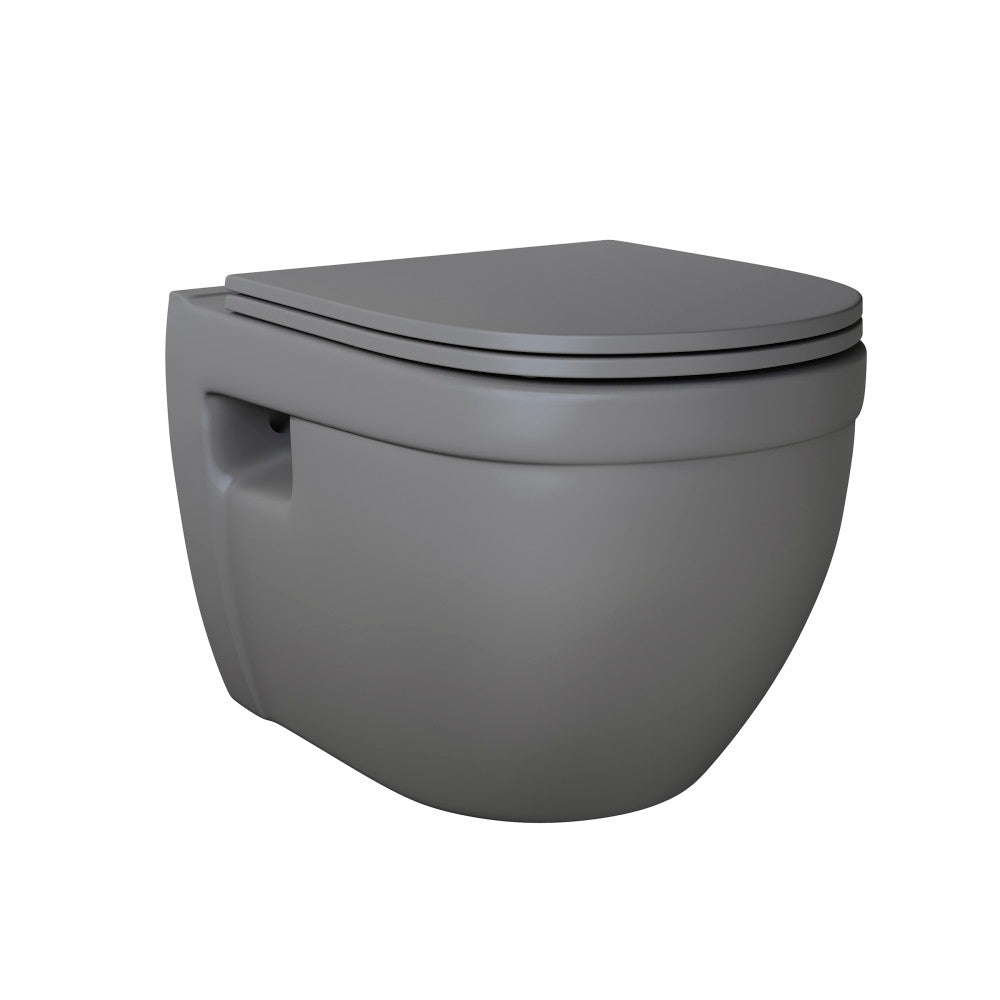 Ivy Wall-Hung Toilet Bowl Only in Matte Gray