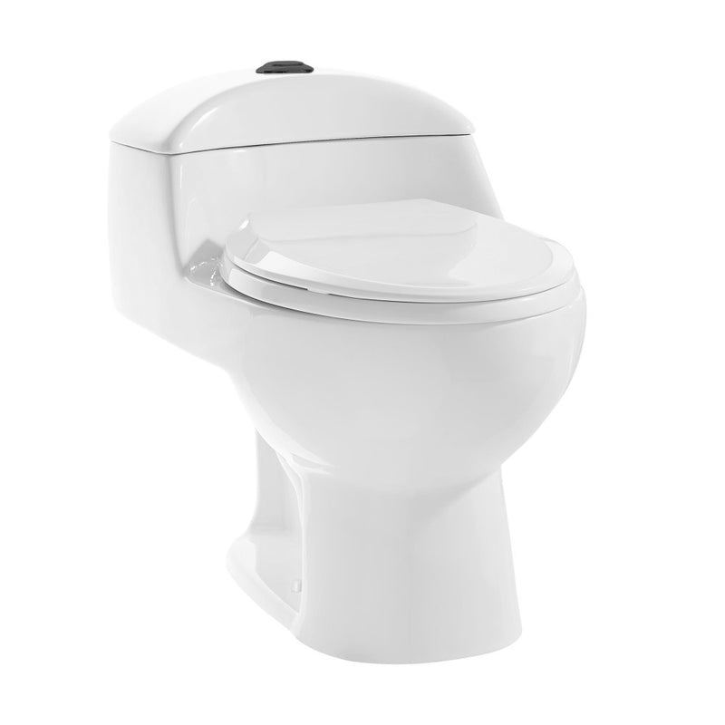 Chateau One Piece Elongated Toilet Dual Flush, Black Hardware 1.1/1.6 gpf