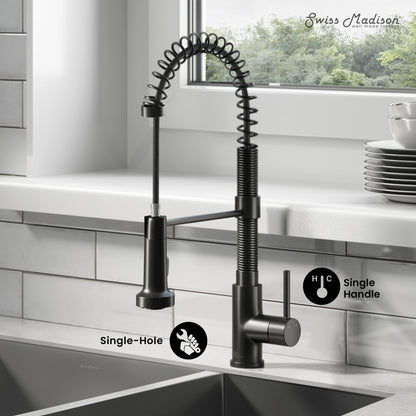 Single handle pull-down kitchen faucet in matte black with flexible coil spring spout.