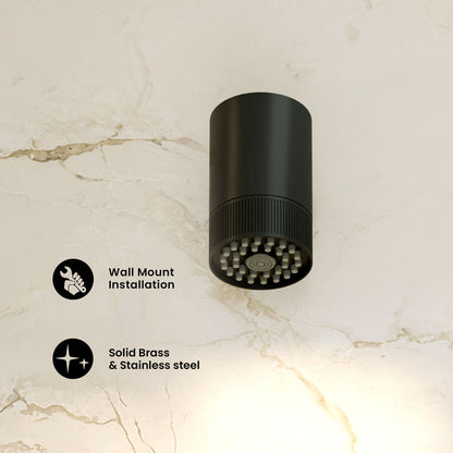 Lumiere 2-Spray Patterns 2.5 GPM Wall Mount Fixed Shower Head in Matte Black
