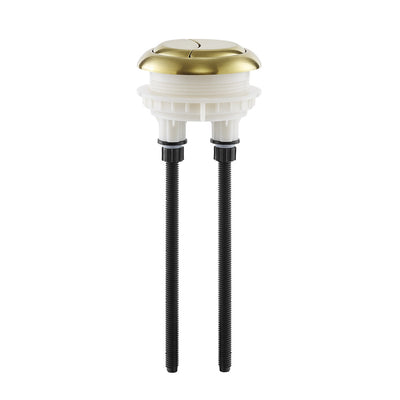 Toilet Hardware Brushed Gold (SM-1T803)