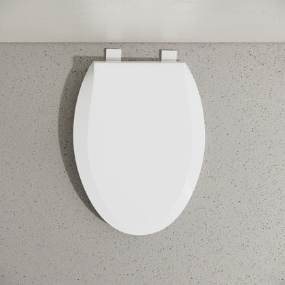 Elongated Toilet Seat with Toddler Seat Built In, Family Toilet Seat in Glossy White