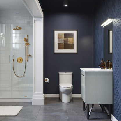 Sublime One Piece Elongated Toilet Dual Flush, Brushed Gold Hardware 1.1/1.6 gpf