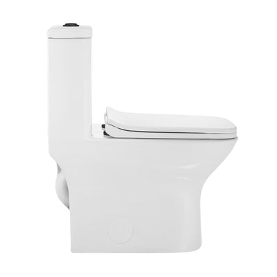 Carre One Piece Square Toilet Dual Flush, Black Hardware