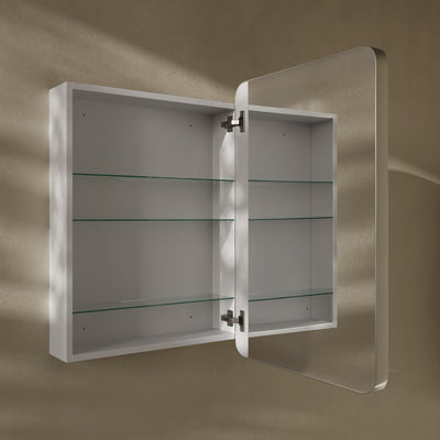 Pierre 20 x 30 Rectangle Recessed/Wall Mount Medicine Cabinet with Mirror in Polished Chrome