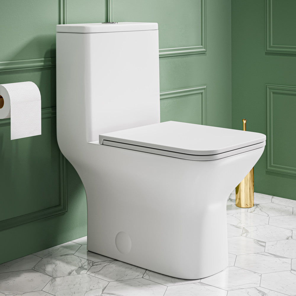 Carre One Piece Square Toilet Dual Flush 1.1/1.6 gpf in Matte White