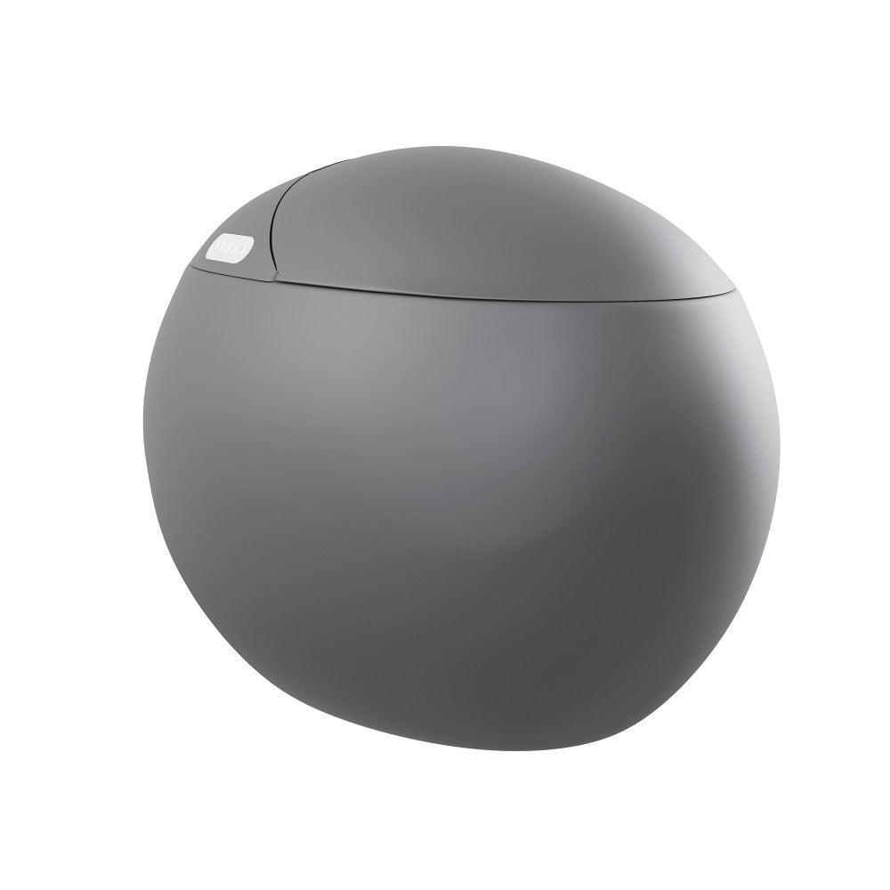 Plaisir Smart One-Piece 1.28 GPF Single Flush Toilet in Matte Gray