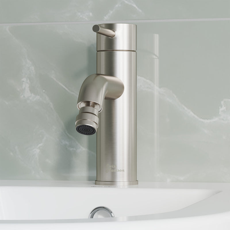 Ivy Bidet Faucet in Nickel