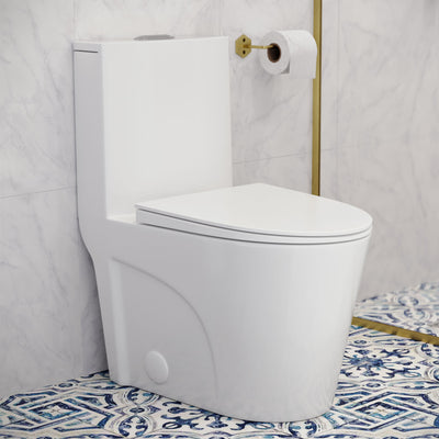 St. Tropez One Piece Elongated Toilet Dual Vortex Flush 1.1/1.6 gpf with 10" Rough In