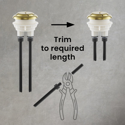 Toilet Hardware Brushed Gold (SM-1T803)