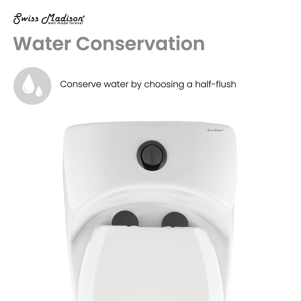 Elongated one-piece toilet with dual flush and black hardware.