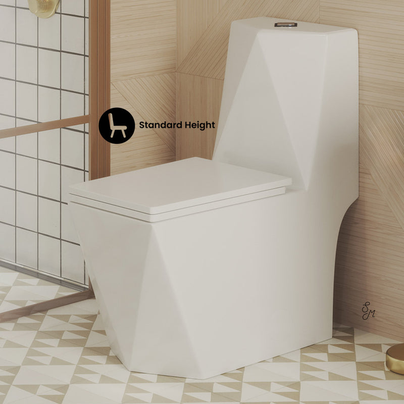 Brusque One-Piece Square Toilet Dual-Flush 1.1/1.6 gpf