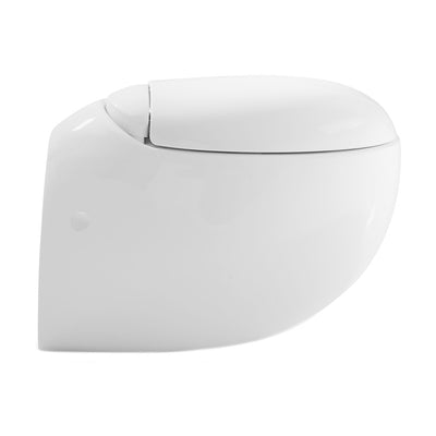 Plaisir Wall-Hung Elongated Toilet Bowl