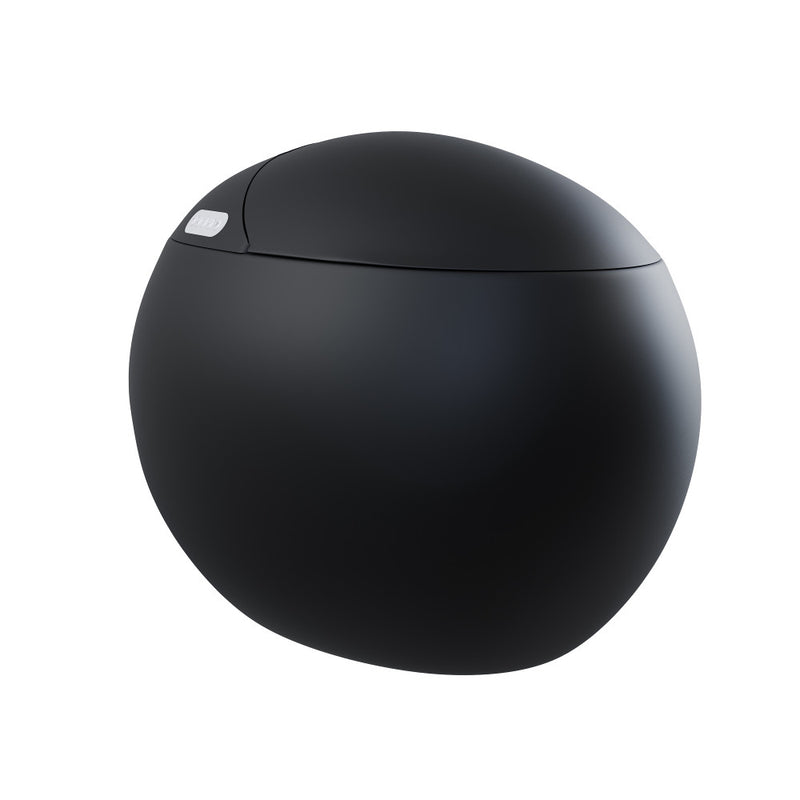 Plaisir Smart One-Piece 1.28 GPF Single Flush Toilet in Matte Black