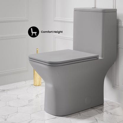 Carre One-Piece Square Toilet Dual-Flush in Matte Gray1.1/1.6 gpf