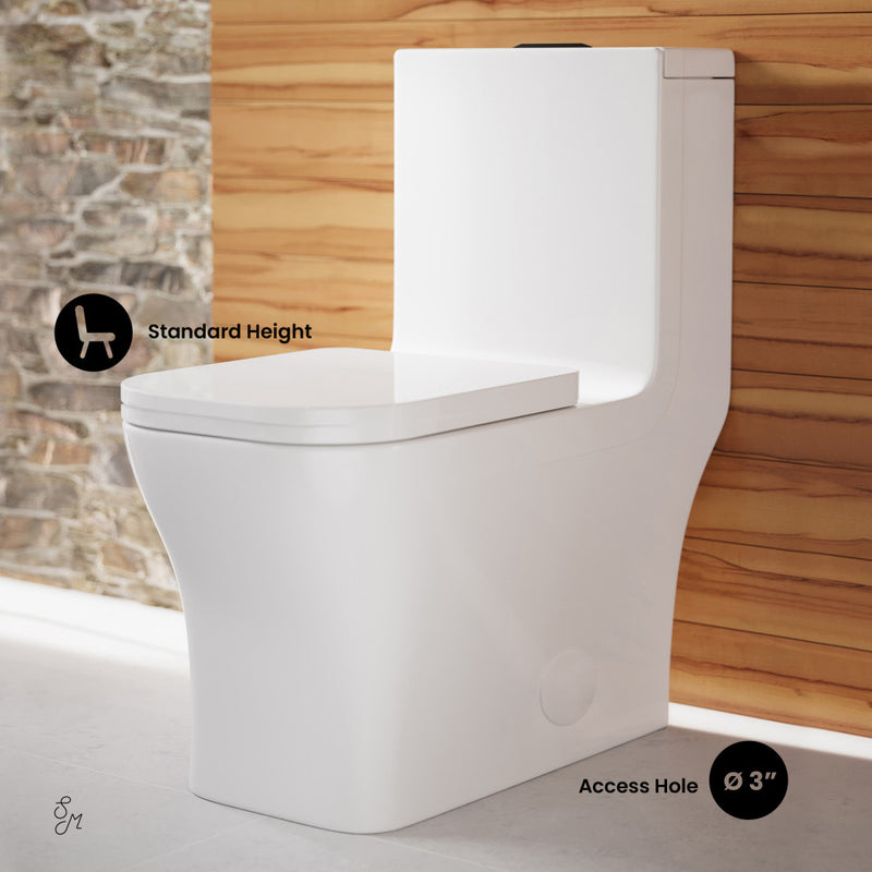 Concorde One Piece Square Toilet Dual Flush, Black Hardware 1.1/1.6 gpf