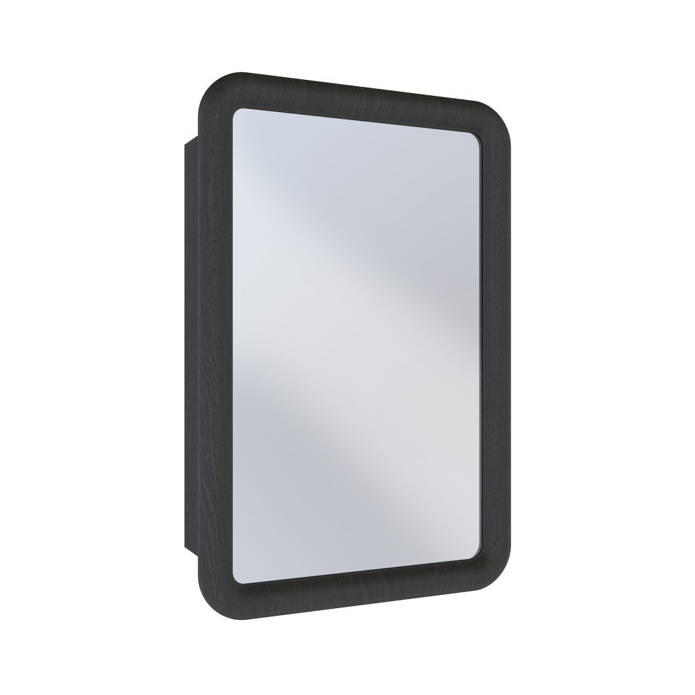 Plaisir 18 x 27 Recessed/Wall Mount Medicine Cabinet with Mirror in Black Oak