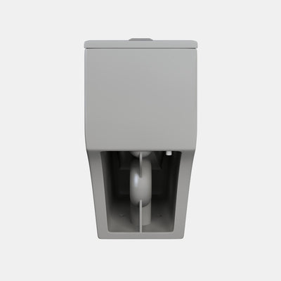 Dreux One Piece Elongated Dual Flush Toilet in Matte Grey 0.95/1.26 GPF