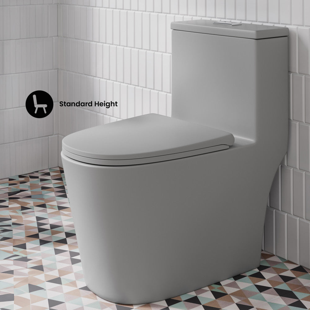 Dreux One Piece Elongated Dual Flush Toilet in Matte Gray 0.95/1.26 GPF