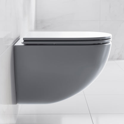 St. Tropez Wall-Hung Toilet Bowl Only in Matte Gray