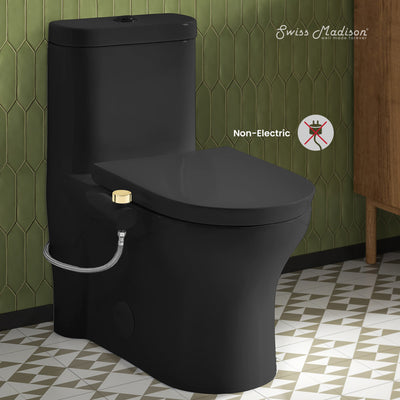 Aqua Non-Electric Bidet Toilet Attachment in Glossy Black with Polished Gold Hardware