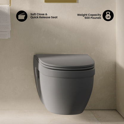 Ivy Wall-Hung Toilet Bowl Only in Matte Gray