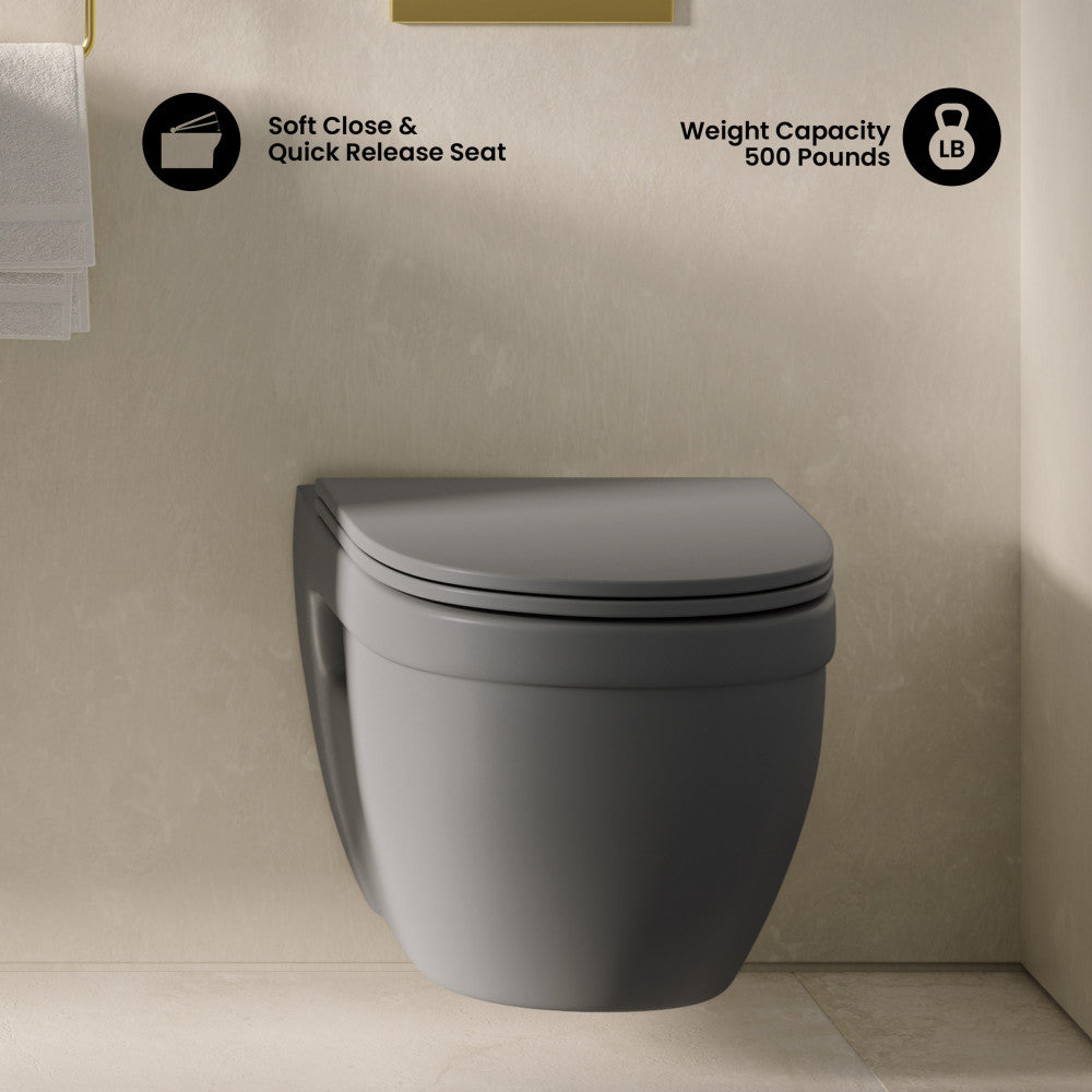 Ivy Wall-Hung Toilet Bowl Only in Matte Gray