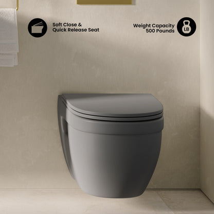 Ivy Wall-Hung Toilet Bowl Only in Matte Gray
