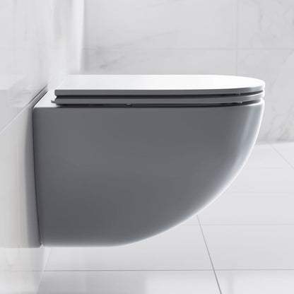 St. Tropez Wall-Hung Toilet Bowl Only in Matte Gray