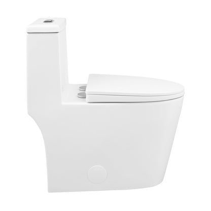 Dreux One Piece Elongated Dual Flush Toilet with 0.95/1.26 GPF (6 - Pack)