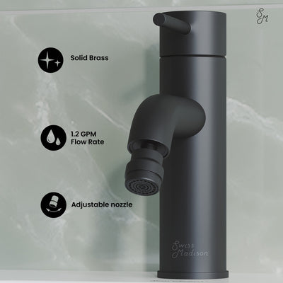 Ivy Bidet Faucet in Matte Black