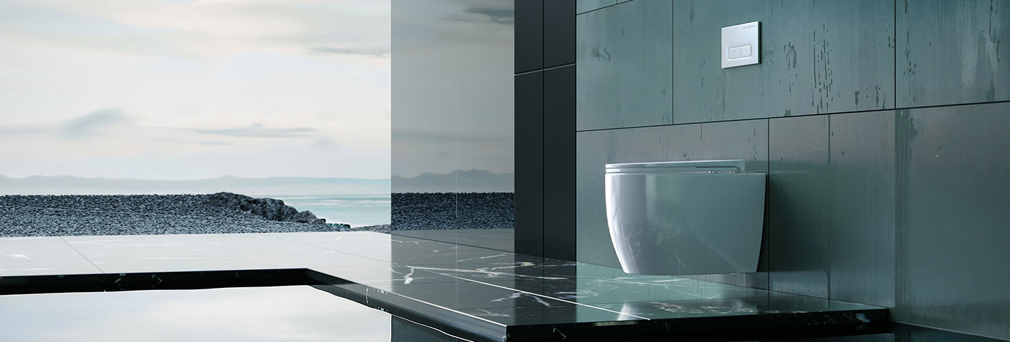 Fantome M 2x6 Concealed In-Wall Toilet Tank Carrier System – Swiss