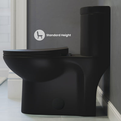 Sublime One-Piece Elongated Toilet Dual-Flush in Matte Black 1.1/1.6 gpf