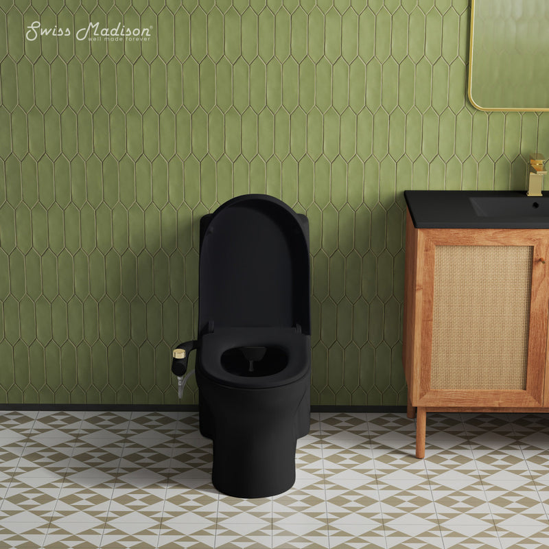 Aqua Non-Electric Bidet Toilet Attachment in Matte Black with Polished Gold Hardware