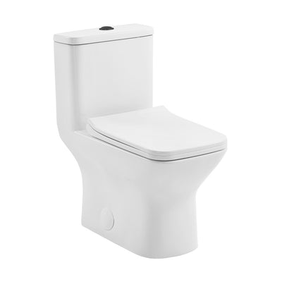 Carre One Piece Square Toilet Dual Flush, Black Hardware