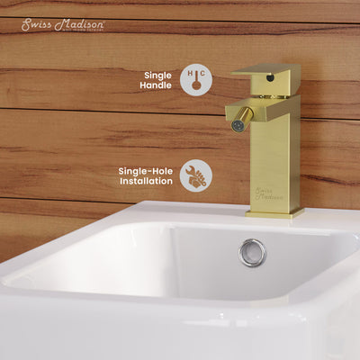 Concorde Bidet Faucet in Brushed Gold