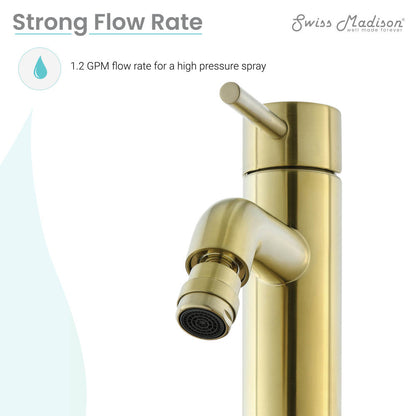 Single-handle bidet faucet in brushed gold with angled spout and lever handle.
