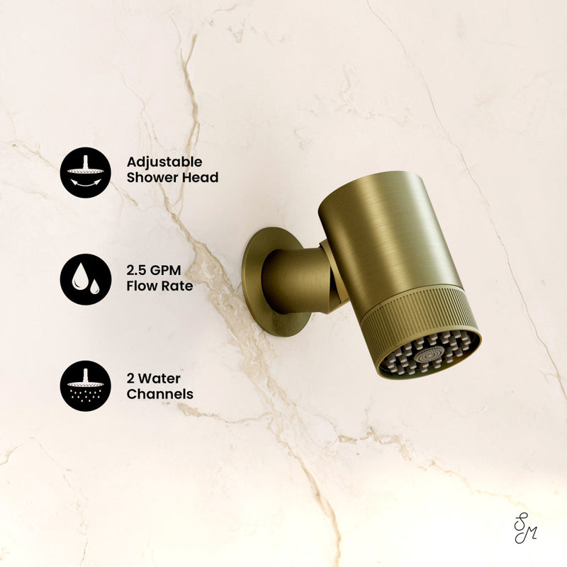 Lumiere 2-Spray Patterns 2.5 GPM Wall Mount Fixed Shower Head in Brushed Gold