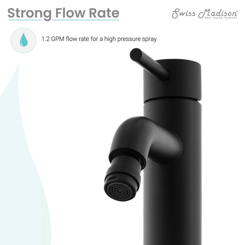 Ivy Bidet Faucet in Matte Black