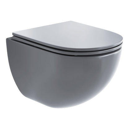 St. Tropez Wall-Hung Toilet Bowl Only in Matte Gray
