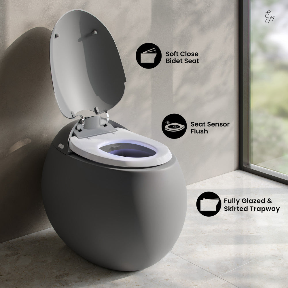 Plaisir Smart One-Piece 1.28 GPF Single Flush Toilet in Matte Gray