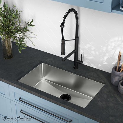 Rivage 30 x 18 Stainless Steel, Single Basin, Undermount Kitchen Sink