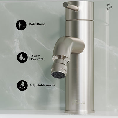 Ivy Bidet Faucet in Nickel