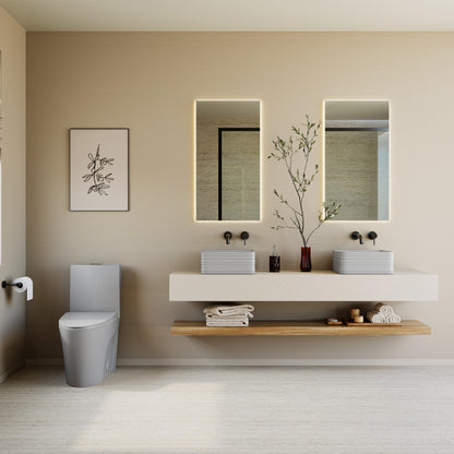 St. Tropez One-Piece Elongated Toilet Vortex™ Dual-Flush 1.1/1.6 gpf in Matte Gray