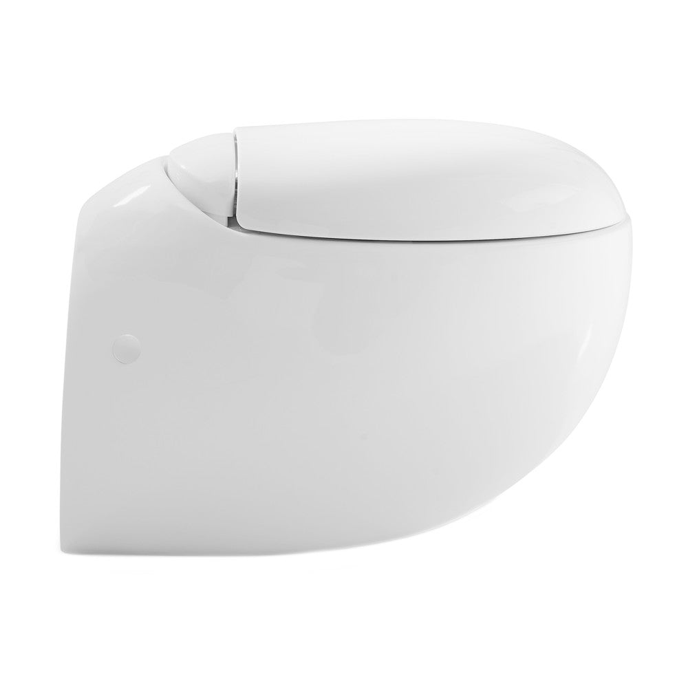 Plaisir Wall-Hung Elongated Toilet Bowl