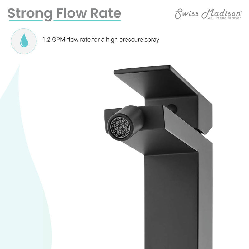 Concorde Bidet Faucet in Matte Black